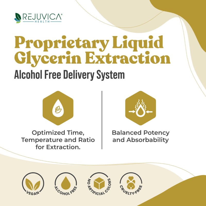 Rejuvica Health Active Mullein – Lung Support Supplement - 4