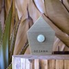 Singing Bird Box Dejama Ambient Noise Birds Chirping Songs Zwitscher