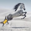 2Pcs Horse Tendon Boots Open Front Adjustable Breathable Horse Front