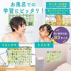 Dr. Routine's Learning Cram School Bath Poster Hiragana Katakana Aiueo