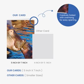 90210 Exotics Adorable Hippo Greeting Card – Blank Inside – Perfect for Birthdays, Friendship, Love, and Any Occasion, Mother's Day - Animal Nature-Themed - Larger Size 5x7 inch