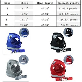 Hypeety Arnés para Gato con Correa Ajustable, arnés Halter sin tirones, Malla Transpirable, Seguridad al Aire última intervensión, Reflectante, Juego de Correa para Caminar, M