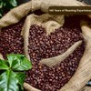 Lion Coffee 3-Pack DECAF Vanilla Macadamia Flavored Ground Coffee, Swiss