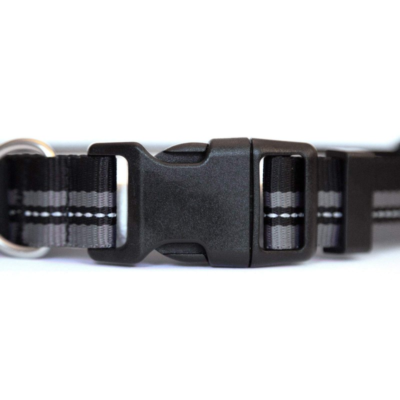 The Rock Solid Collar ID (Graphite Black, Medium/Large)