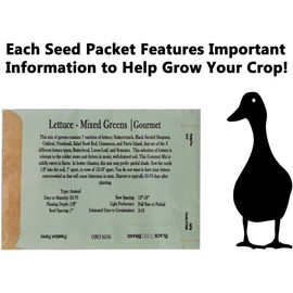 Vegetable, Flower, and Herb Seed Set - 10 Varieties of Non-GMO and Heirloom Premium Seeds for Planting - Rosemary, Mixed Greens, Cucumber, & More!