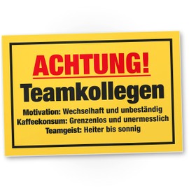 DankeDir! Teamkollegen - Schild 30 x 20 cm - Party Geschenkidee Deko Kollegen Freunde Partydeko Geschenk - Geburtstagsgeschenk Türschild lustiger Spruch Spruchschild Büro Team