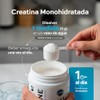 B Life Creatina Monohidratada en polvo de Alta Pureza 600