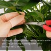 20 Pack Gel Finger Cots, Finger Protector Support New Material