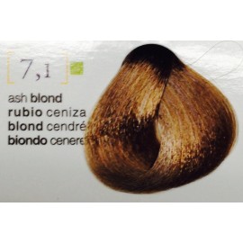 Salerm Cosmetics Salermvison Permanent Cream Hair Color 75ml / 2.5oz - #7.1 Ash