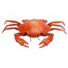 Funny High Simulation Remote Control Infrared Animal Crab Kid Trick