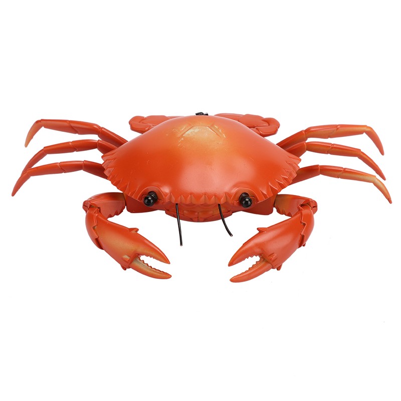 Funny High Simulation Remote Control Infrared Animal Crab Kid Trick