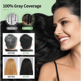 Hair Dye Shampoo - 3 in1 Formula for Fast Grey Coverage Shampoo - Natural Hair Color Shampoo for Women & Men, Herbal Ingredients Instant Color Shampoo Hair Dye - Champu Para Canas Mujer 500ml (Black)