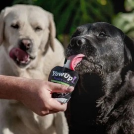 Yow Up! Yogurt Natural Perro 115 Gr Prebioticos