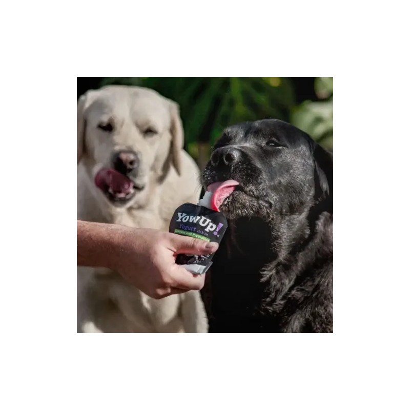 Yow Up! Yogurt Natural Perro 115 Gr Prebioticos