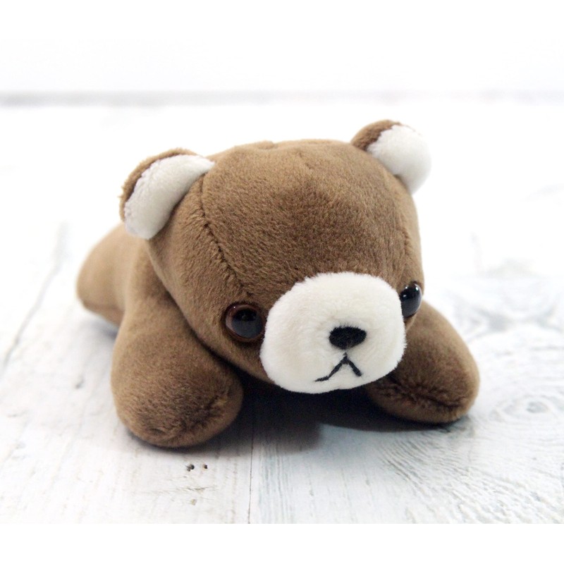 takeoff pokepuni brown bear