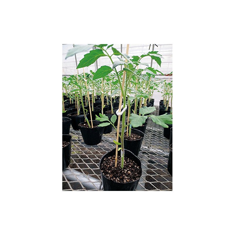 Seams Gardening for Retainer Support