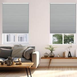 Changshade Blackout Blinds, Cordless Cellular Shades, Honeycomb Blackout Shades, Room Darkening Blinds, Pull Down Window Shades, Easy to Install Honeycomb Window Blinds, 25" W x 64" H, Grey