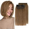 Charites Clip in Hair Extensions Real Human Hair Short Extensions