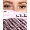 Brown Lash Clusters Wispy Eyelash Clusters Brown Natural