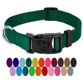 Country Brook Design - 30+ Vibrant Colors - American Made Deluxe Nylon Dog Collar with Buckle (Large, 1 Inch Wide, Green)
