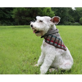 RUTH&BOAZ Wool Blend Ethnic Inca Pattern Snap On Dog Bandanas (P-Beige,S)