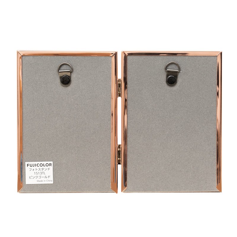 FUJICOLOR 507120 1513TL Photo Stand, Metal, Size L, Vertical, 2