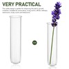 Kisangel 5Pcs Plant Propagation Tubes Glass Test Tubes Plant Propagation