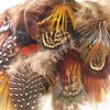 LURNODY Pack of 50 DIY Decorative Natural Feathers for Dream