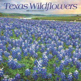 BrownTrout, Texas Wildflowers 2025 Wall Calendar