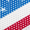 Hooke Road Wrangler JL & Gladiator Grill Insert Flag Grille