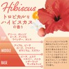 Ravey Radiance Body Shampoo Hibiscus 600ml 1 Piece Axis Body