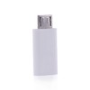 Electrónica REY Adapter Converter USB C 3.1 Female to Micro