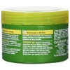 Garnier Fructis cera brillo/brilho