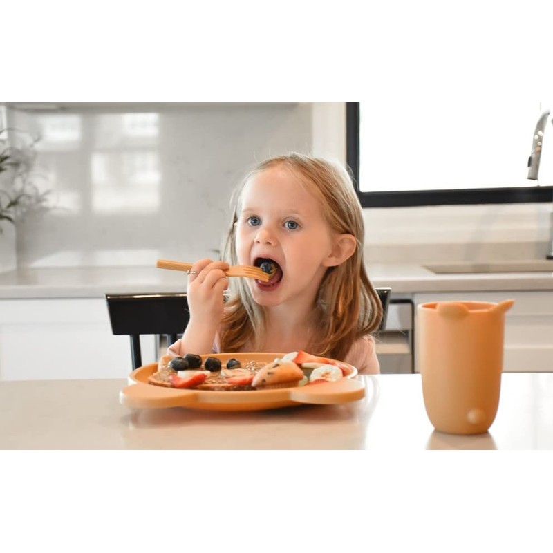 5 Piece Cellulose Feeding Meal Set, Plate, Bowl, Cup, Spoon