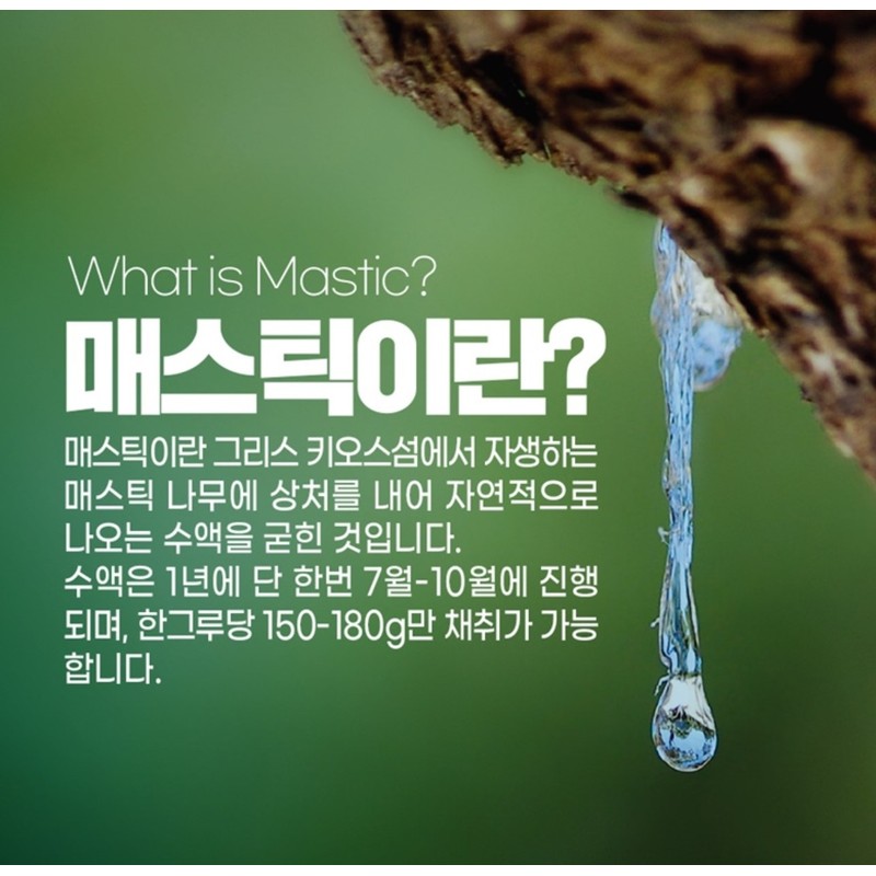 Mastic Oil Stomach Health N Mastic Mastic Gift Set /