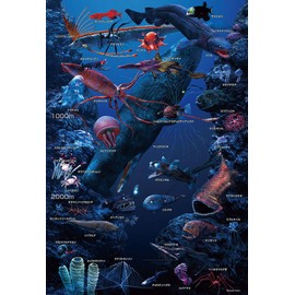 【Made in Japan】Beverly 150 Large Jigsaw Puzzle Let's Learn About Deep Sea Creatures! (26×38cm / 10.2×15.0 inches) L74-191