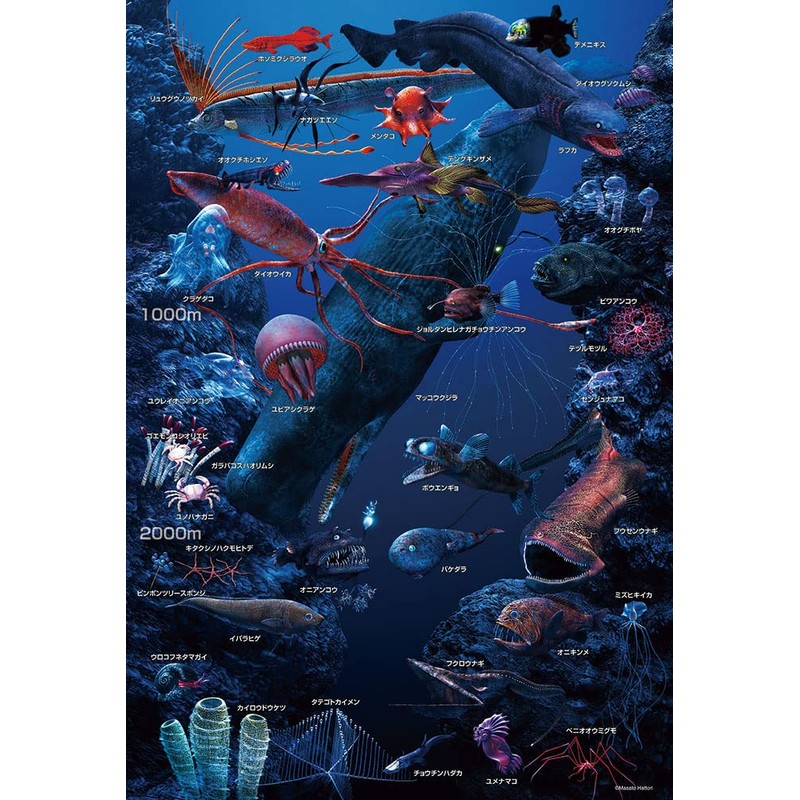 【Made in Japan】Beverly 150 Large Jigsaw Puzzle Let's Learn About