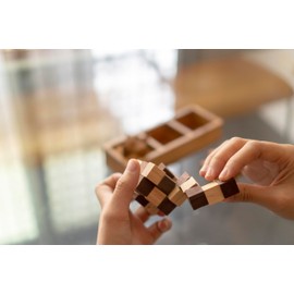 BSIRI - Juego de rompecabezas de 3 en uno, desafiantes juegos de cerebro y rompecabezas 3D para adultos, juegos entrelazados para prueba de coeficiente intelectual, ideal para decoración de patio y regalo único para chismas y cumpleaños