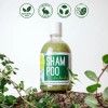 Kokos Organic, Shampoo De Hierbas Natural, Caída De Cabello