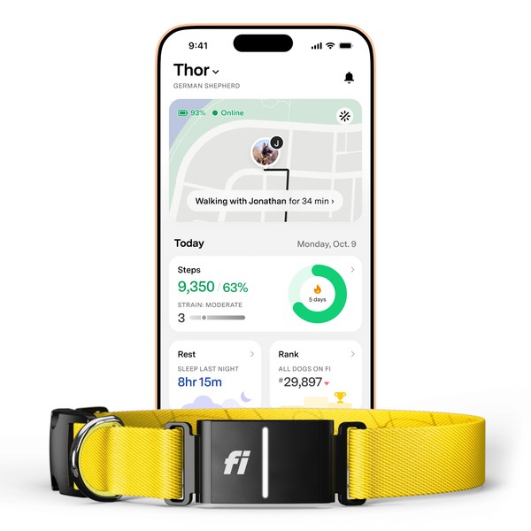 Fi Series 3+ Smart Dog Collar - GPS Dog Tracker