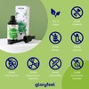 Chlorophyll Drops - 50 ml Liquid from Pure Alfalfa -