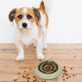 2 x Anti Slip Bowls, Feeding Bowl for Dogs, Pet Bowl, 400 ml, Slow Eating, Dog Bowl Dishwasher Safe, Green
