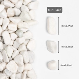 Ausluru 11lbs White Natural River Rocks, Polished Pebbles for Plants Garden, 0.3-0.8 inch Decorative White Stones, Ideal for Fish Tank, Vases, Crafting, Home Decor and Garden Landscaping Rocks,White