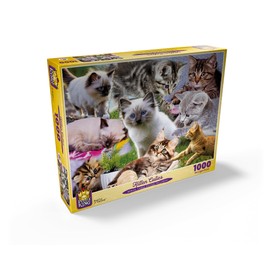MyPuzzle Kitten Cuties - Premium 1000 Piece Jigsaw Puzzle for Adults