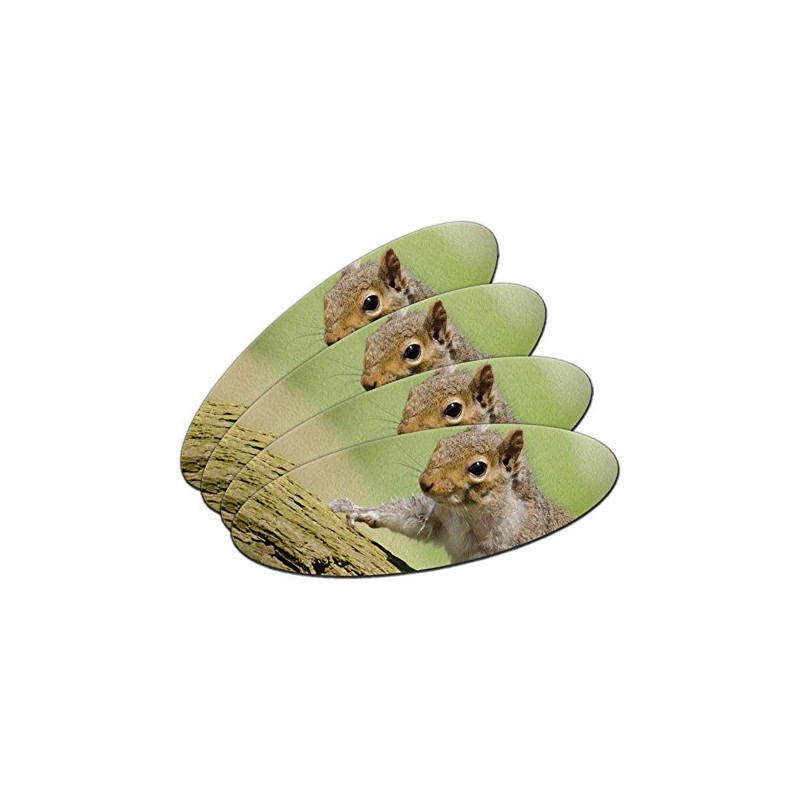 Cute Squirrel on Tree - Hammy Double-Sided Oval Nail File