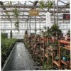 Termómetro De Invernadero, Higrómetro, Medidor De Jardín