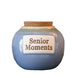 Tumbleweed Cottage Creek Funny Gifts Decorative Senior Moments Jar Funny Piggy Bank/Funny Ceramic Coin Bank Gag Gifts [Blue]