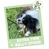 Nature Gnaws Extra Thin Bully Sticks for Small Dogs 5-6"
