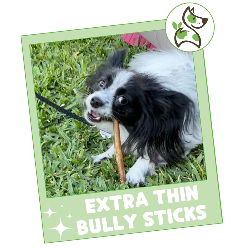 Nature Gnaws Extra Thin Bully Sticks for Small Dogs 5-6"