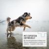 ReaVET Taurine for Dogs 100 g - Supports the Cardiovascular
